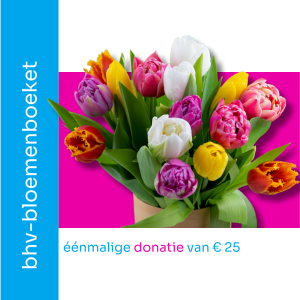 doe een donatie van 25 euro om al die blogartikelen over bhv gratis te lezen